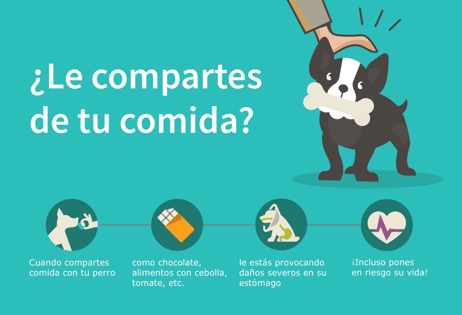 Infografia_compatir_comida_con_perro.jpg