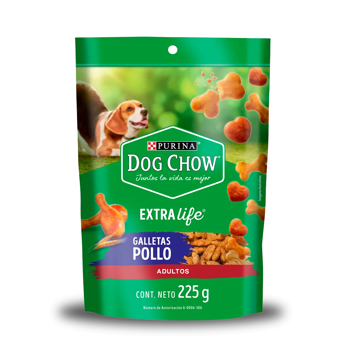 dcg1.png.webp