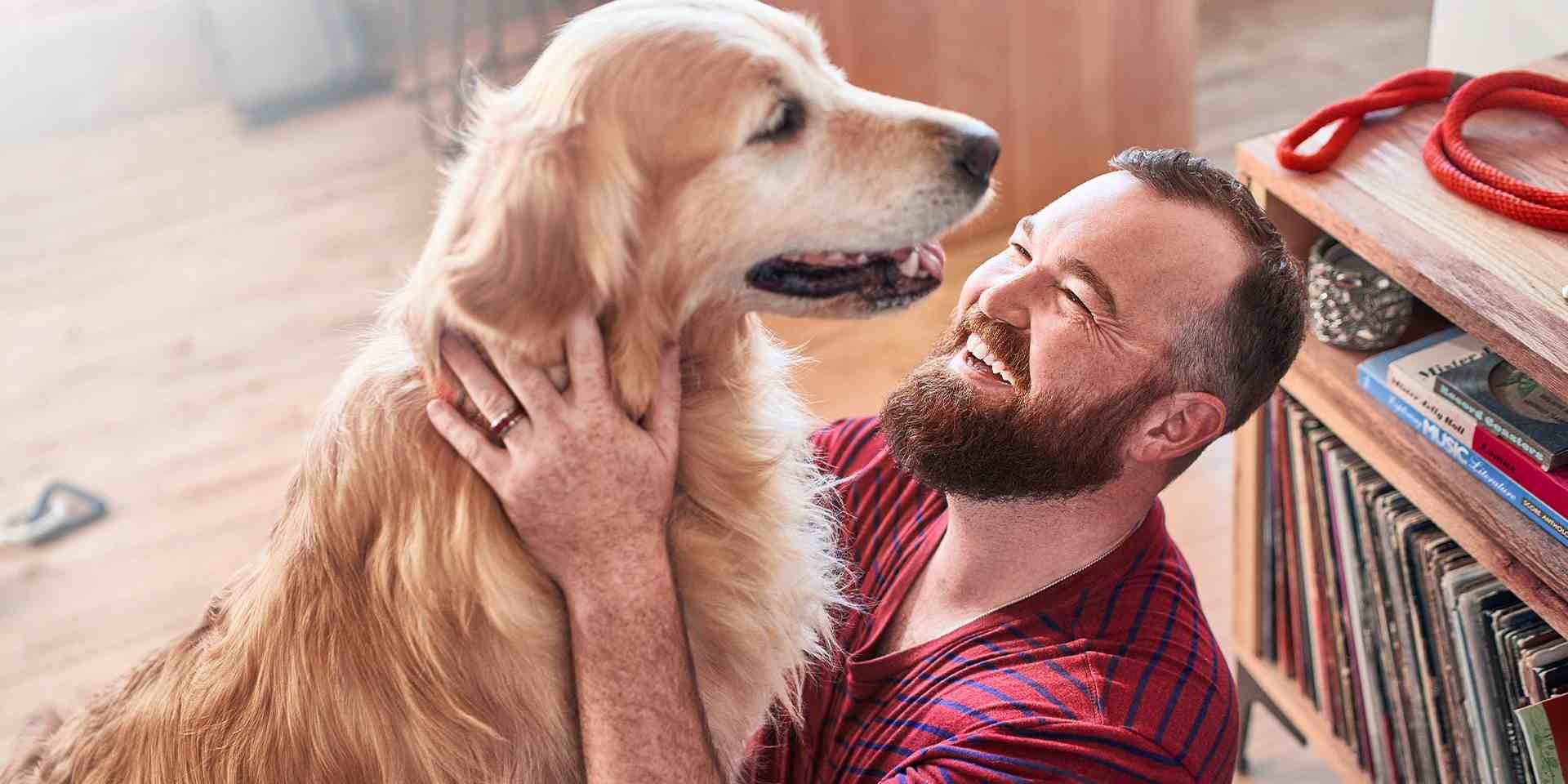 ¿Sabes cómo cuidar a tu perro en época de lluvia?'