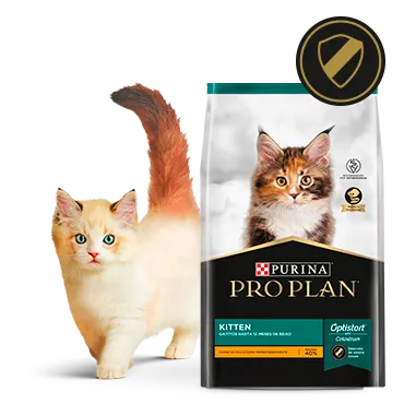 Purina%C2%AE-Proplan%C2%AE-Optistar.png.webp?itok=3wXfbqOQ