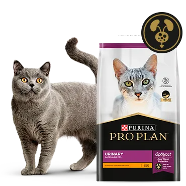 Purina%C2%AE-Proplan%C2%AE-Optritact.png.webp?itok=Fi81kX0X