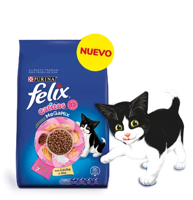purina-felix-gatitos-megamix.png.webp?itok=hMZEaiz7