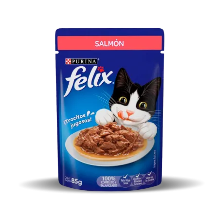 purina-felix-salmon-gatos-1.png.webp?itok=NOBJT0dK