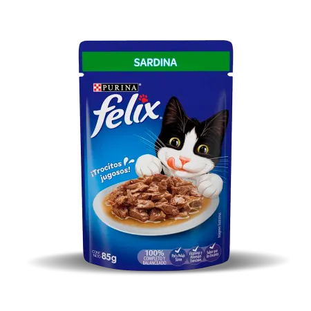 sardina_felix_0.png.webp?itok=hpOdNjj-