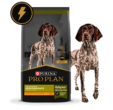 perros_performance_pro_plan_0.png.webp?itok=ubnA69gf