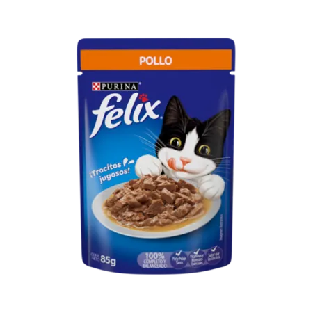 pollo-1.png.webp?itok=pE1xUrBc