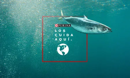 purina-los-cuida-aqui-ingredientes-de-fuentes-responsables.jpg.webp?itok=_DTxH4aM purina-los-cuida-aqui-ingredientes-de-fuentes-responsables.jpg.webp?itok=_DTxH4aM