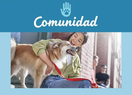 purina-img-community.jpg.webp?itok=5xRajO_H purina-img-community.jpg.webp?itok=5xRajO_H