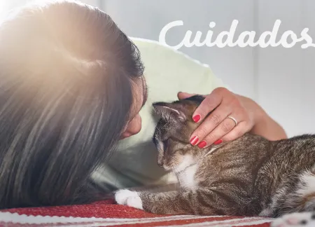 purina-img-cuidados.jpg.webp?itok=V2CeCfBv purina-img-cuidados.jpg.webp?itok=V2CeCfBv