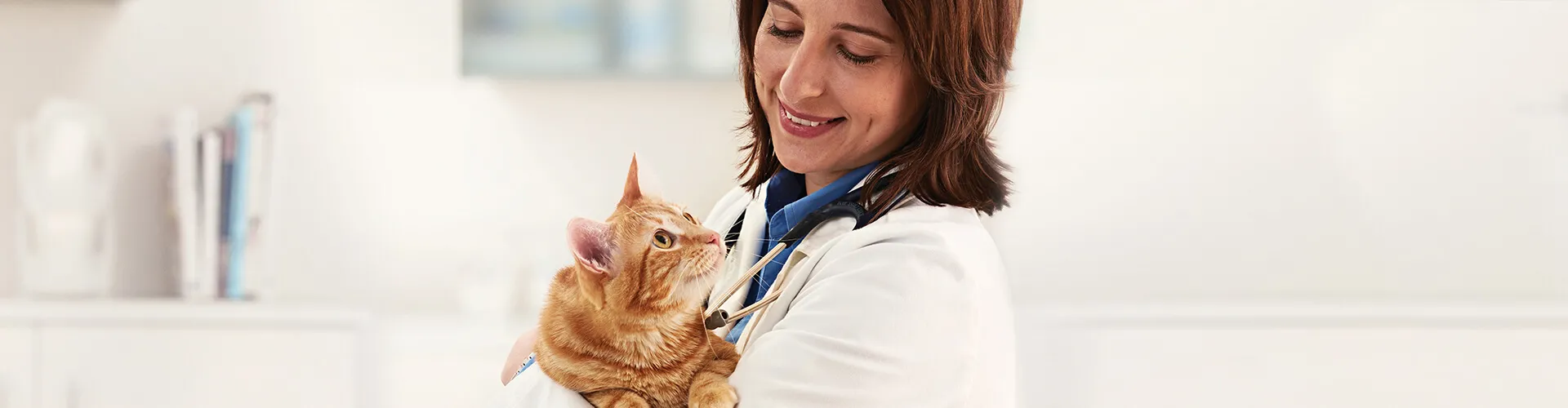 Purina® Pro Plan® Cómo minimizar el estrés de la visita al veterinario .jpg