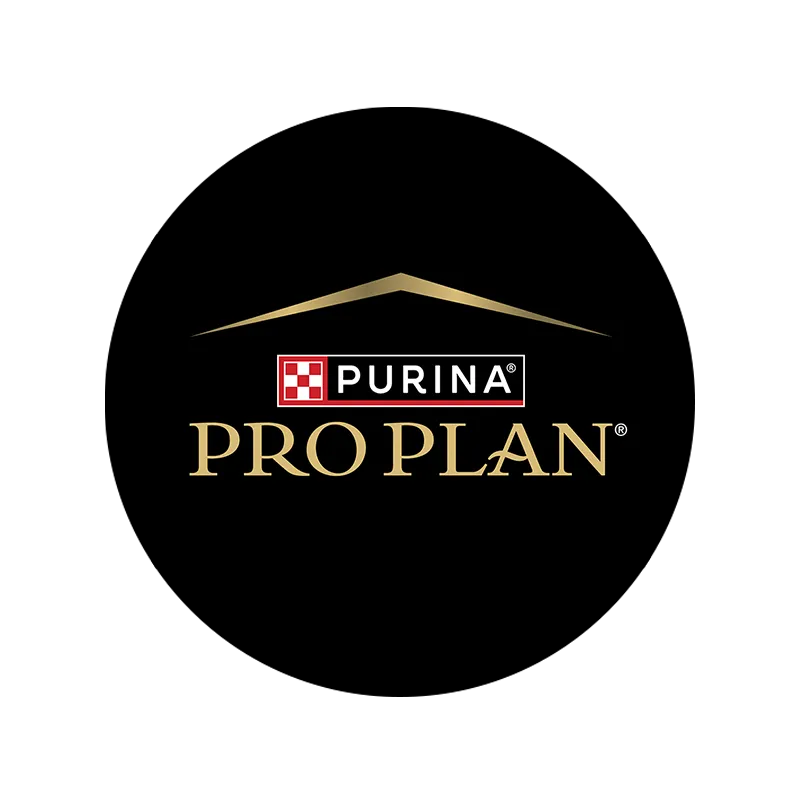 Proplan_C.png